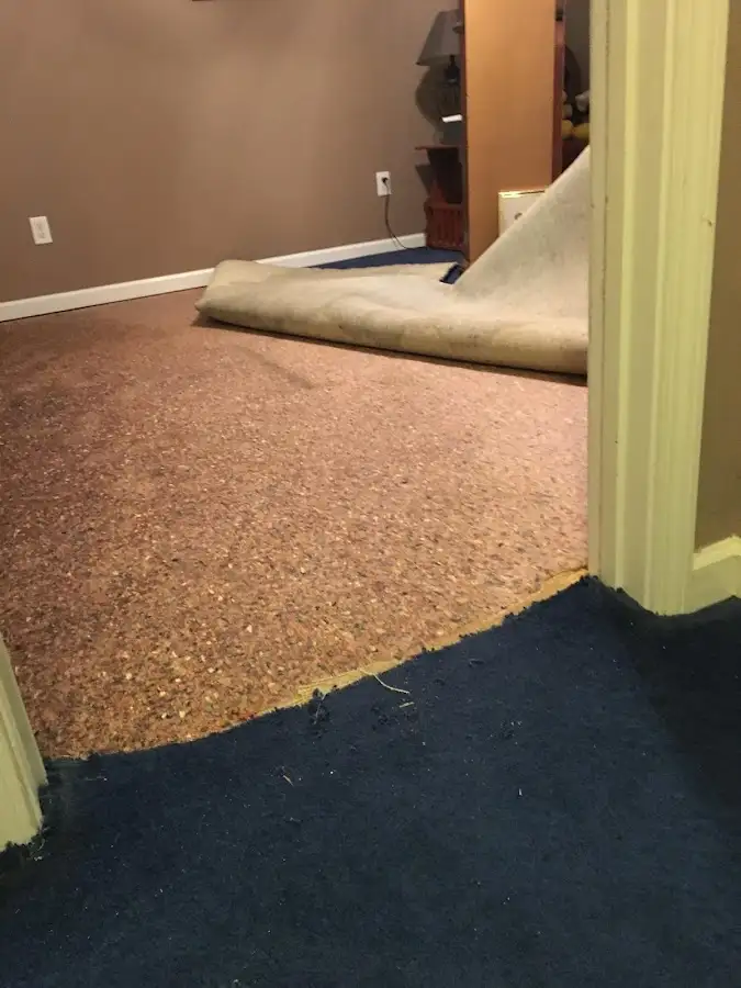 Carpet pad removal revealing water damage during Drying & Dehumidification in Perinton