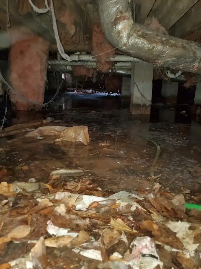 Crawl space flood assessment for Leak Detection & Repair in Perinton