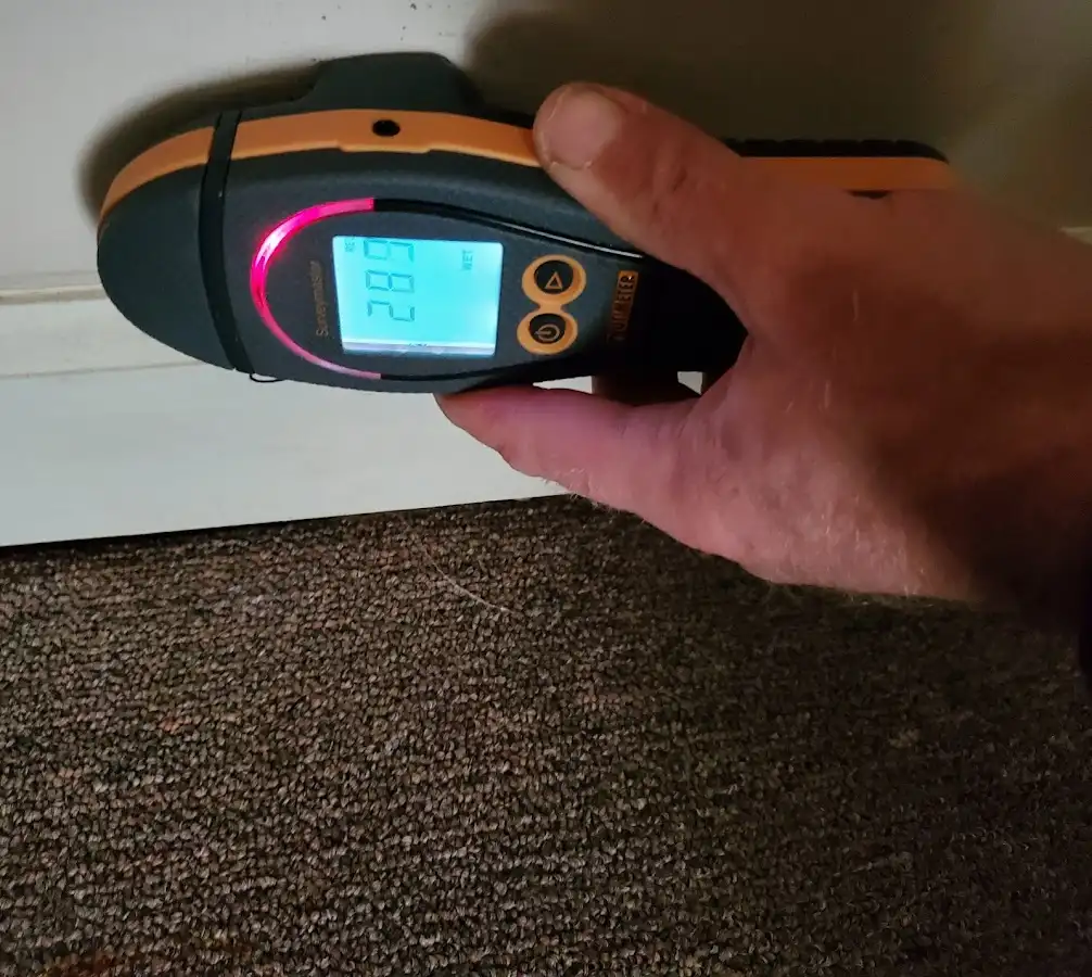 Moisture detection at baseboard during Mold Inspection & Testing in Perinton